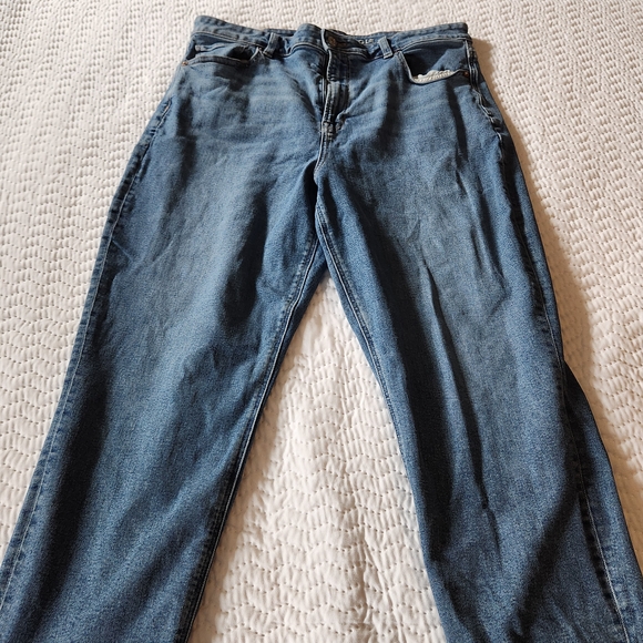 American Eagle Outfitters Denim - American Eagle Mom Jeans Size 16 Short